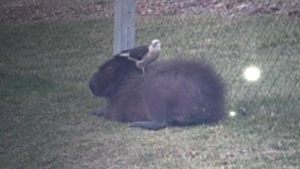 WhatsApp Image 2021-02-22 at 15.36.59